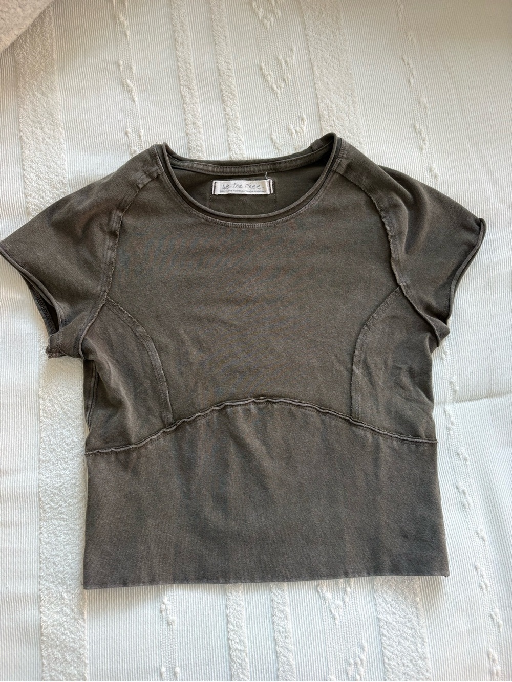 We The Free Cropped Gray T-Shirt